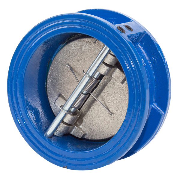 двустворчатый двустворчатый