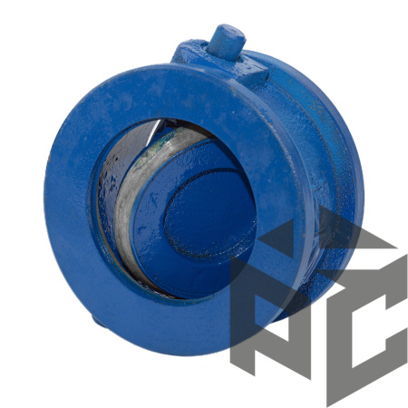 Клапан обратный чугунный поворотный (19ч21бр) Ду 200 Ру 16 межфл КАЗ фото. Клапан обратный чугунный поворотный (19ч21бр) Ду 200 Ру 16 межфл КАЗ оптом и в розницу. Доставка по РФ. Клапан обратный чугунный поворотный (19ч21бр) Ду 200 Ру 16 межфл КАЗ от производителя "Рускон"